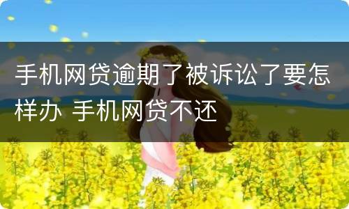 手机网贷逾期了被诉讼了要怎样办 手机网贷不还