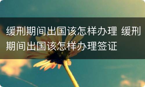 缓刑期间出国该怎样办理 缓刑期间出国该怎样办理签证