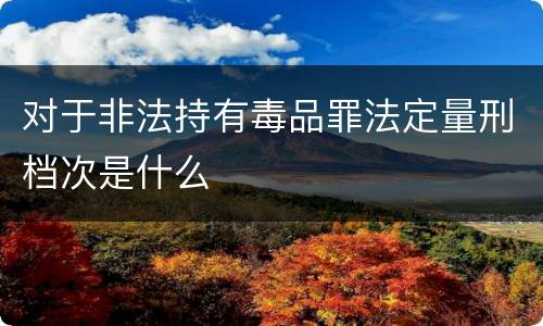 对于非法持有毒品罪法定量刑档次是什么