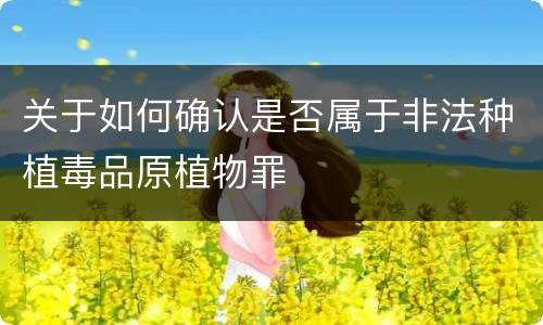 关于如何确认是否属于非法种植毒品原植物罪