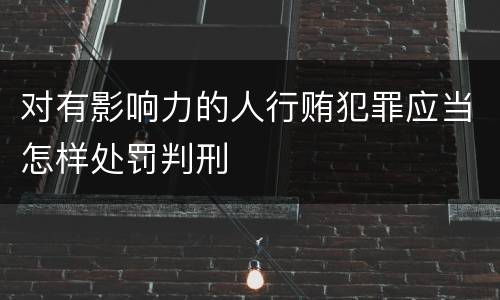 对有影响力的人行贿犯罪应当怎样处罚判刑