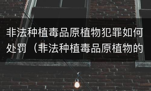 非法种植毒品原植物犯罪如何处罚（非法种植毒品原植物的处罚）