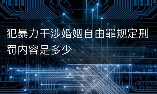 犯暴力干涉婚姻自由罪规定刑罚内容是多少