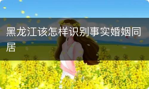 黑龙江该怎样识别事实婚姻同居