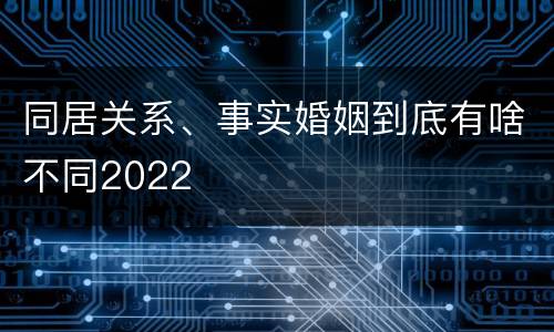 同居关系、事实婚姻到底有啥不同2022