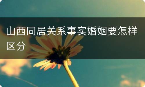 山西同居关系事实婚姻要怎样区分