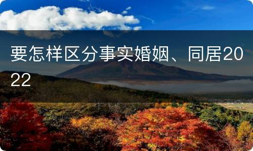 要怎样区分事实婚姻、同居2022