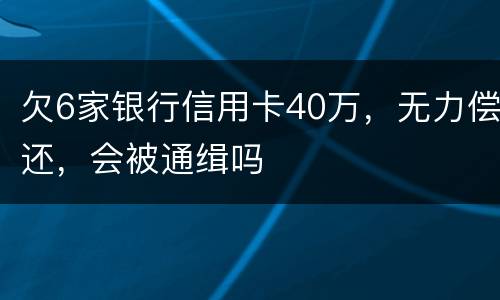 欠6家银行信用卡40万，无力偿还，会被通缉吗