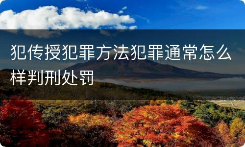 犯传授犯罪方法犯罪通常怎么样判刑处罚