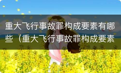 重大飞行事故罪构成要素有哪些（重大飞行事故罪构成要素有哪些内容）