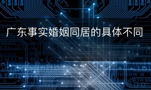 广东事实婚姻同居的具体不同
