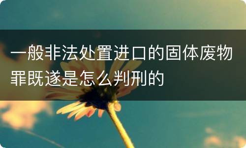 一般非法处置进口的固体废物罪既遂是怎么判刑的