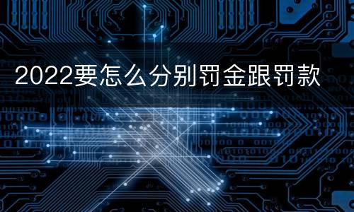 2022要怎么分别罚金跟罚款