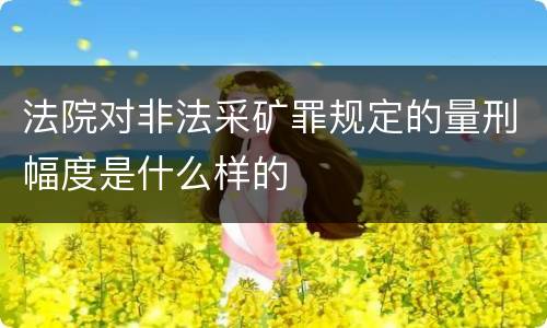法院对非法采矿罪规定的量刑幅度是什么样的