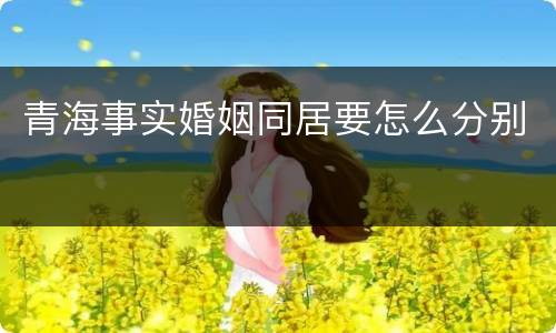 青海事实婚姻同居要怎么分别