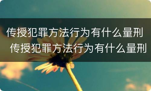 传授犯罪方法行为有什么量刑 传授犯罪方法行为有什么量刑规定
