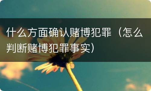 什么方面确认赌博犯罪（怎么判断赌博犯罪事实）