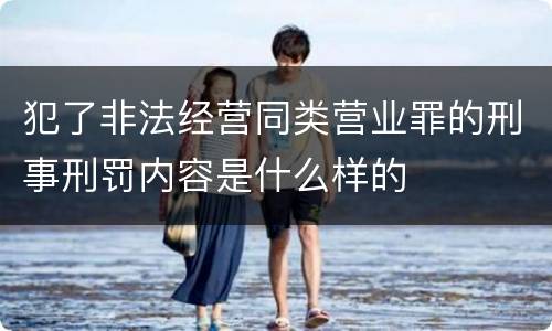 犯了非法经营同类营业罪的刑事刑罚内容是什么样的