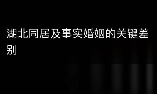 湖北同居及事实婚姻的关键差别