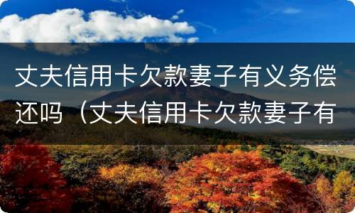 丈夫信用卡欠款妻子有义务偿还吗（丈夫信用卡欠款妻子有义务偿还吗）
