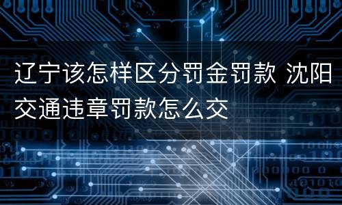 辽宁该怎样区分罚金罚款 沈阳交通违章罚款怎么交