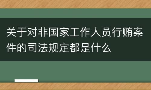 关于对非国家工作人员行贿案件的司法规定都是什么
