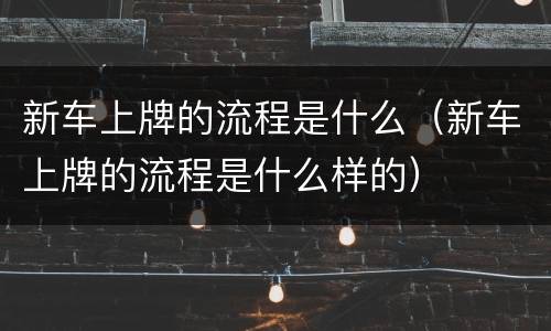 新车上牌的流程是什么（新车上牌的流程是什么样的）