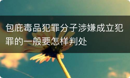 包庇毒品犯罪分子涉嫌成立犯罪的一般要怎样判处