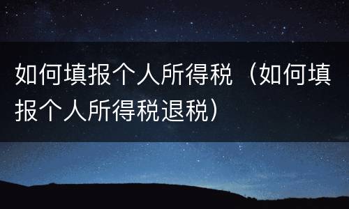 如何填报个人所得税（如何填报个人所得税退税）