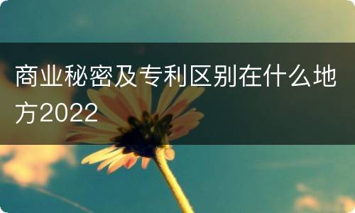 商业秘密及专利区别在什么地方2022