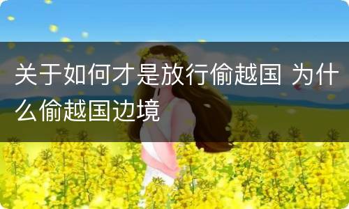 关于如何才是放行偷越国 为什么偷越国边境