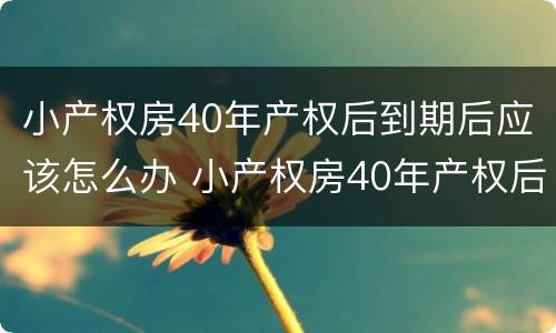 小产权房40年产权后到期后应该怎么办 小产权房40年产权后到期后应该怎么办理