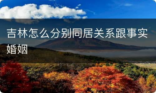 吉林怎么分别同居关系跟事实婚姻