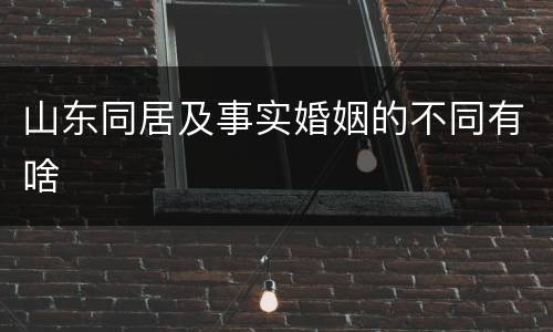 山东同居及事实婚姻的不同有啥