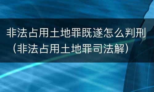 非法占用土地罪既遂怎么判刑（非法占用土地罪司法解）