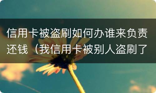 信用卡被盗刷如何办谁来负责还钱（我信用卡被别人盗刷了报警有用吗?）