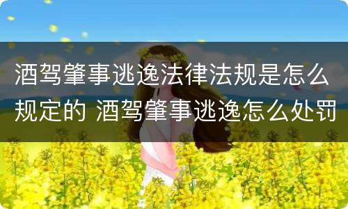 酒驾肇事逃逸法律法规是怎么规定的 酒驾肇事逃逸怎么处罚新交规2020