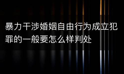 暴力干涉婚姻自由行为成立犯罪的一般要怎么样判处