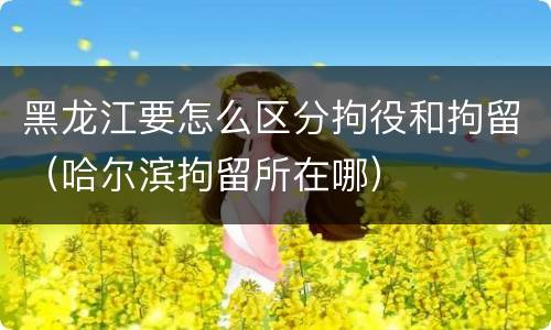 黑龙江要怎么区分拘役和拘留（哈尔滨拘留所在哪）