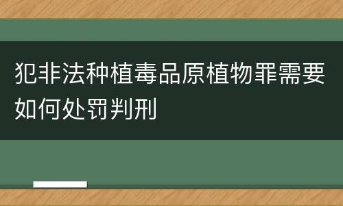 犯非法种植毒品原植物罪需要如何处罚判刑