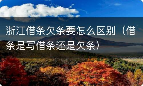 浙江借条欠条要怎么区别（借条是写借条还是欠条）