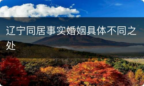 辽宁同居事实婚姻具体不同之处