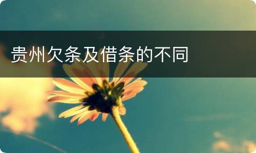贵州欠条及借条的不同