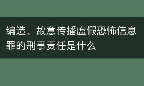 编造、故意传播虚假恐怖信息罪的刑事责任是什么