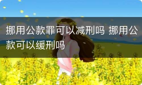 挪用公款罪可以减刑吗 挪用公款可以缓刑吗