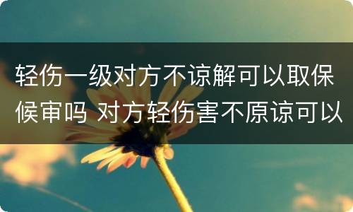 轻伤一级对方不谅解可以取保候审吗 对方轻伤害不原谅可以取保候审