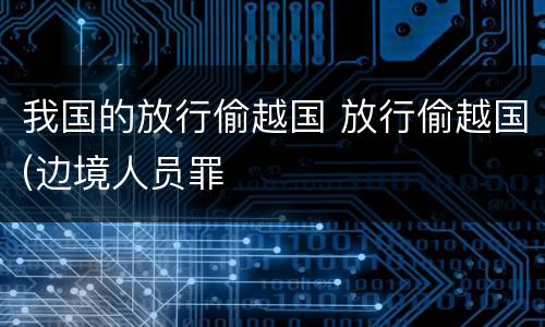 我国的放行偷越国 放行偷越国(边境人员罪
