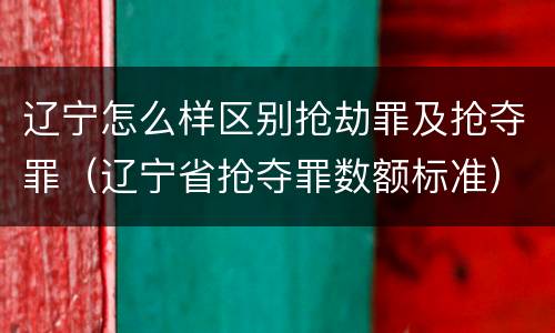 辽宁怎么样区别抢劫罪及抢夺罪（辽宁省抢夺罪数额标准）