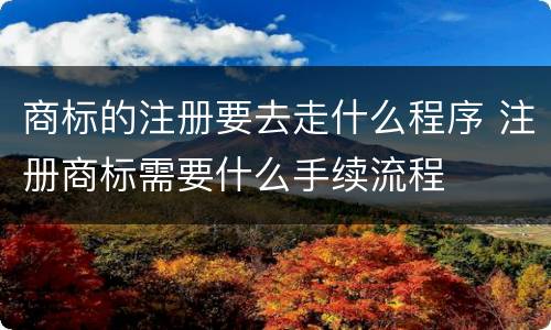 商标的注册要去走什么程序 注册商标需要什么手续流程
