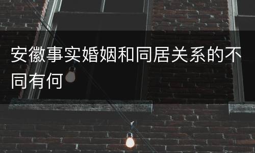 安徽事实婚姻和同居关系的不同有何